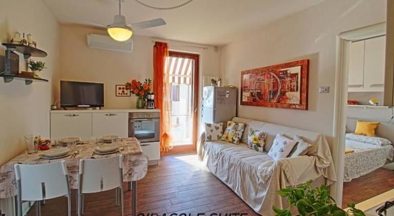 Apartment with pool | Dogs allowed in Lazise
