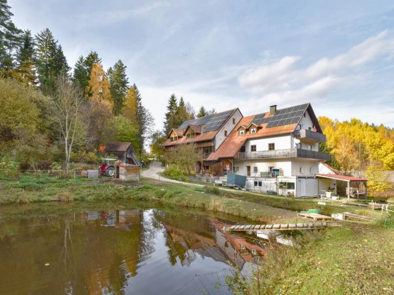 Ferienwohnung  Waidhaus