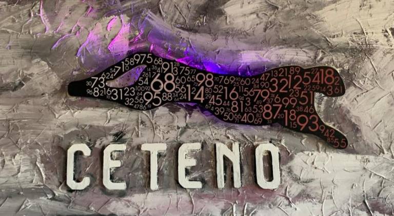 Hotel Ceteno in Hannover