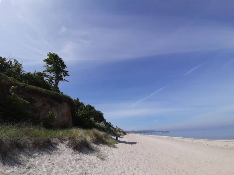 foto14