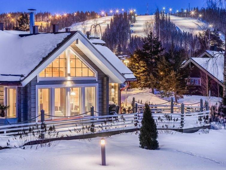 Ferienhaus  Länsi-Himos