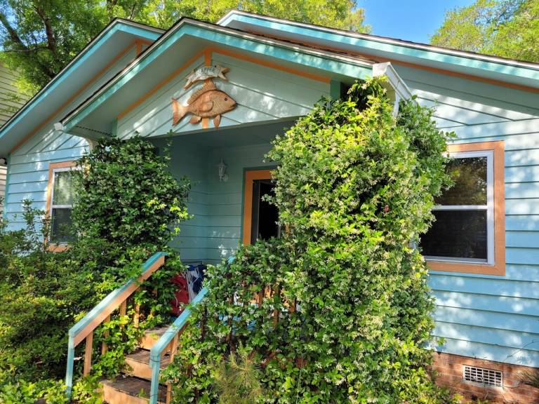 Cabin  Oak Island