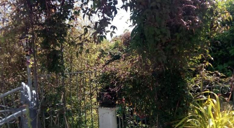 foto17