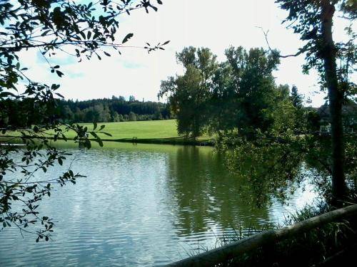 foto18