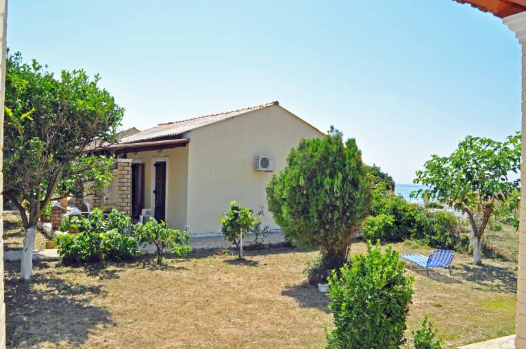 foto2