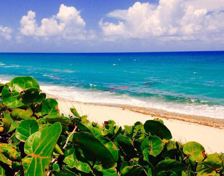 Cottage  Lake Worth