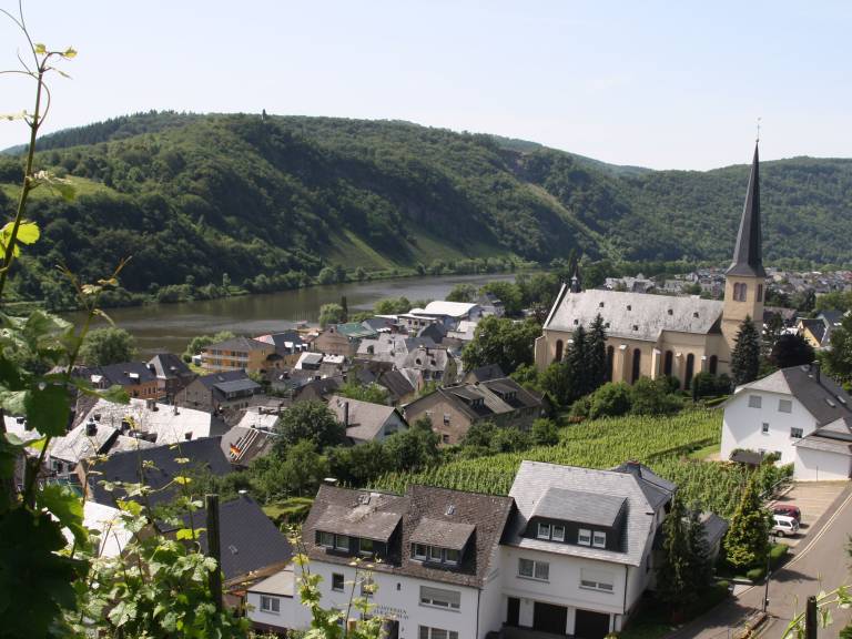 Holiday apartment with BBQ | Dogs allowed in Bernkastel-Kues