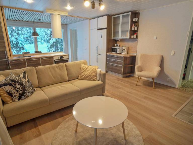 Vacation home with sauna & patio — photo 5