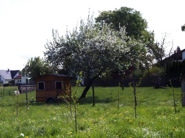foto14