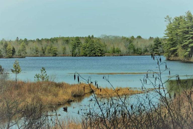 House Mount Desert