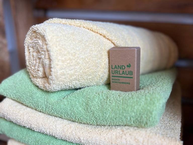 Ferienwohnung Hausach