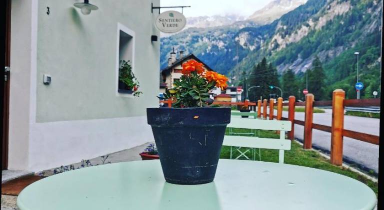 foto2