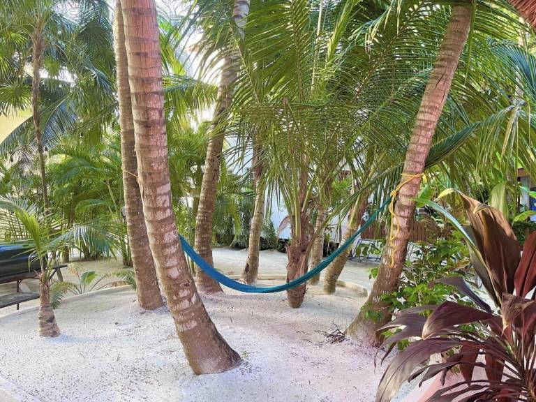 House Caye Caulker