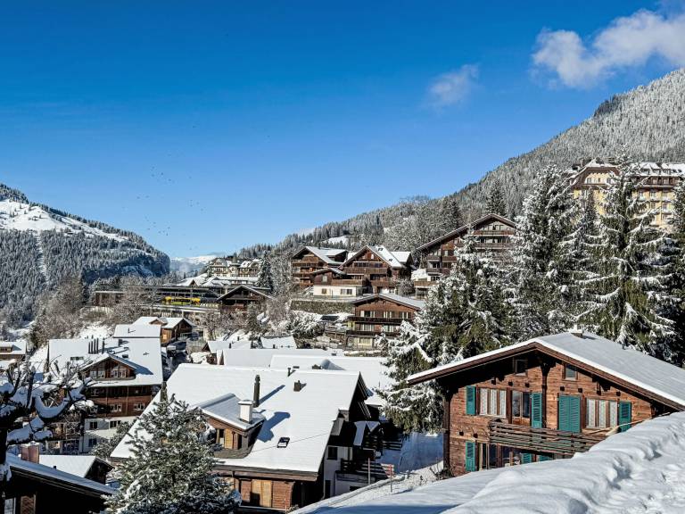 Apartment Haus Lauber Apt.2 in Wengen CH3823.66.2 | Interhome