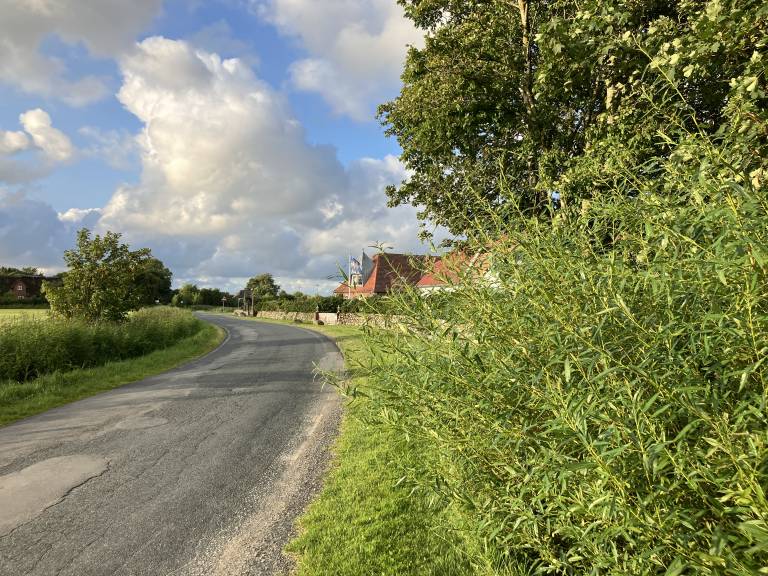 foto15