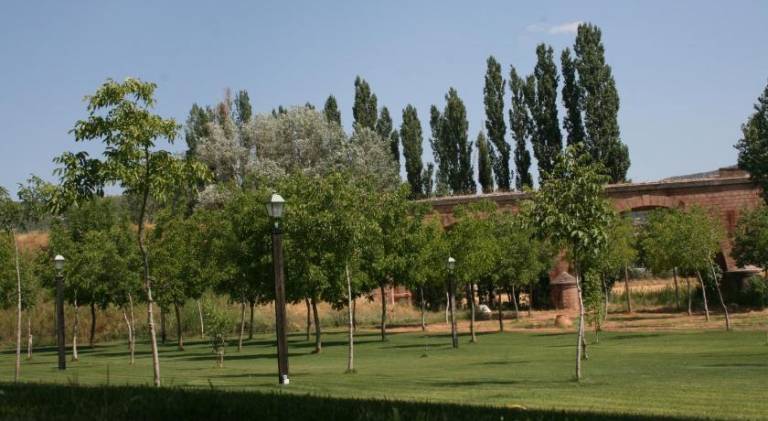 foto6