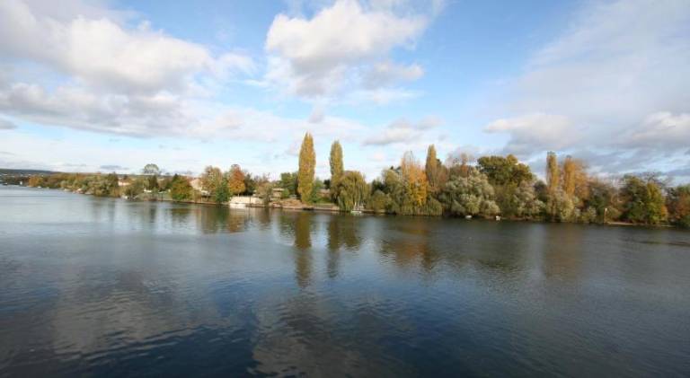 Fully equipped beautiful house with yard, terrace & barbeque | Pet-friendly in Orgeval