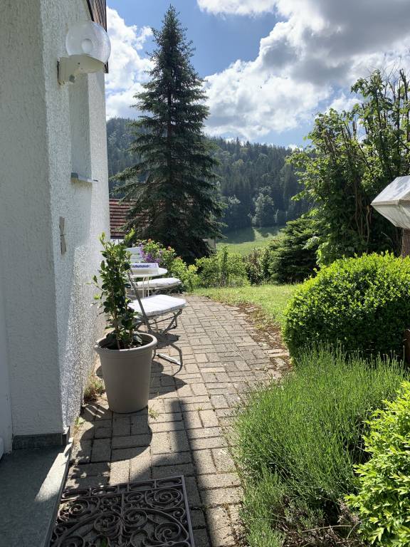 foto17