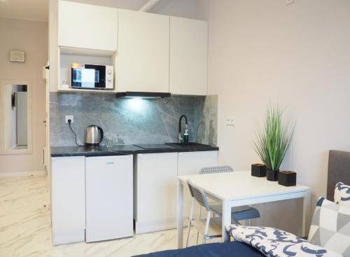 Apartment Śródmieście