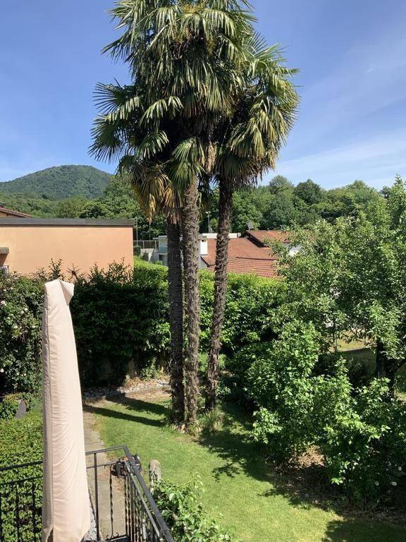 foto16
