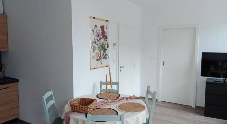 Charming apartment | Close to Holy Trinity Column | Pets are welcome — photo 3