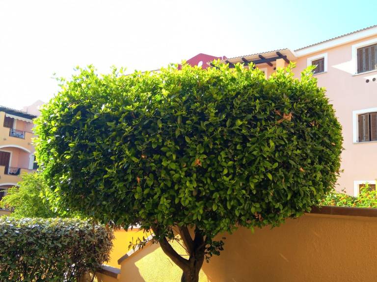 Appartamento vacanza Santa Teresa di Gallura