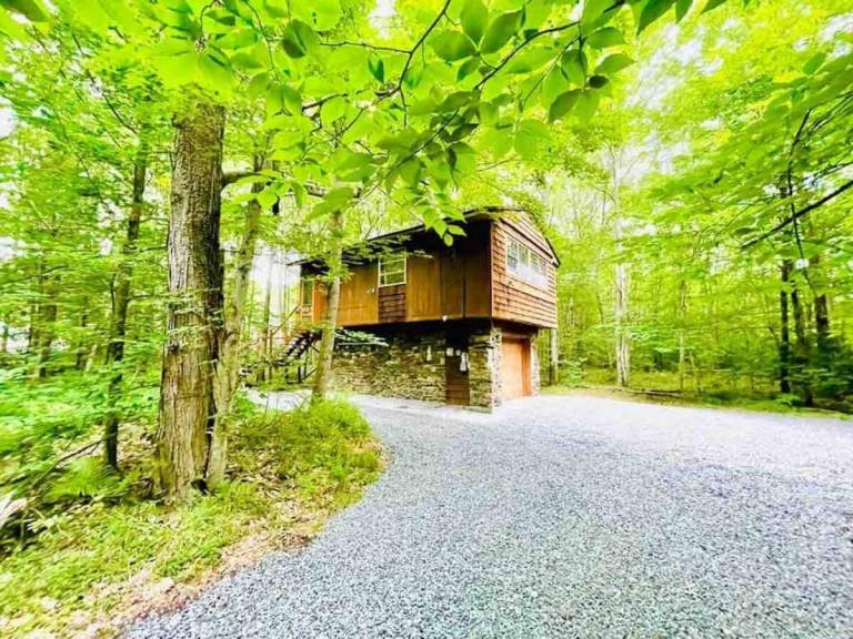 Cabin  Thornhurst Township