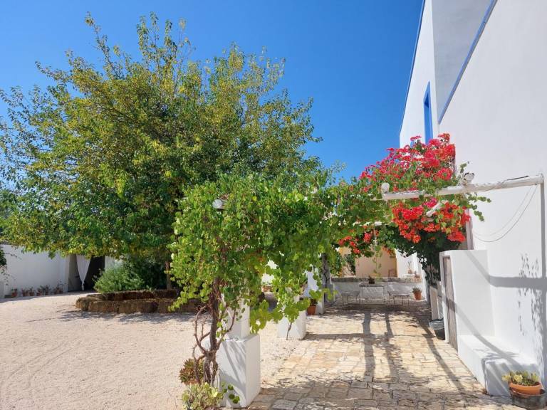 Holiday apartment with pool, fast internet & yard | Garden view | Perfect for remote work | Dogs allowed — photo 5