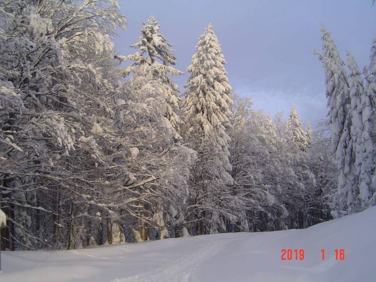 foto12