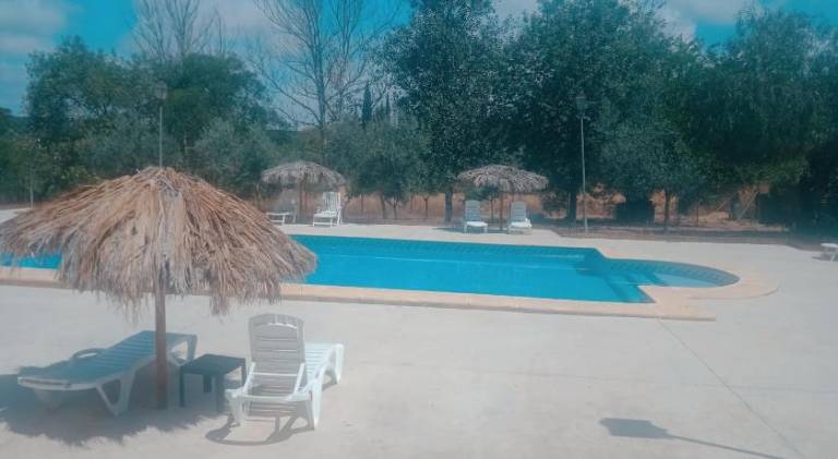 Cortijo Carrillo — photo 2