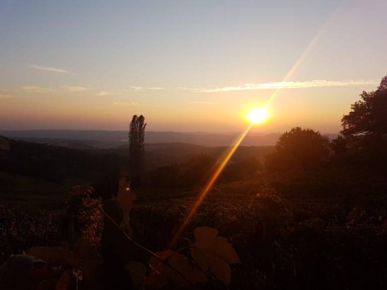 foto2