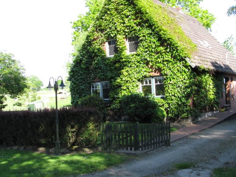 Ferienhaus Albersdorf