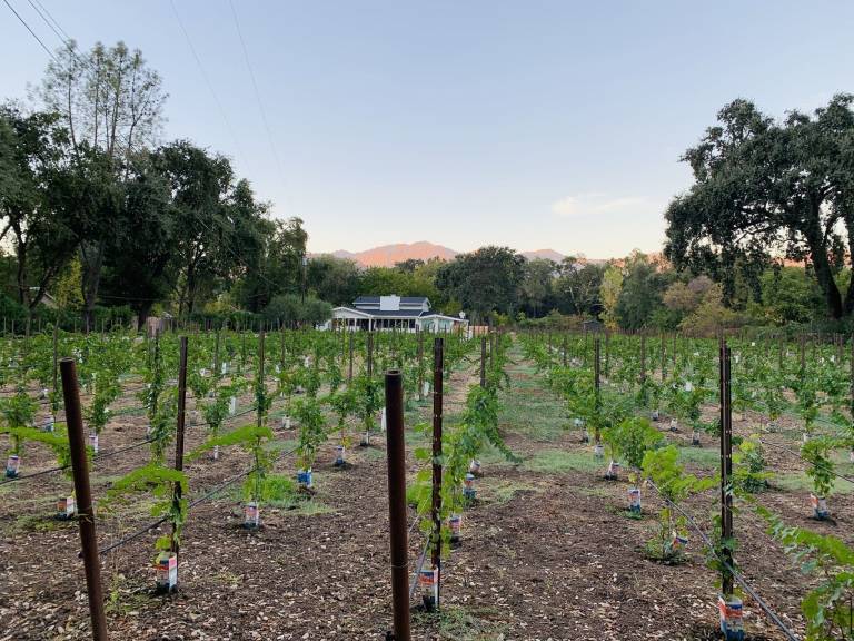 House Calistoga