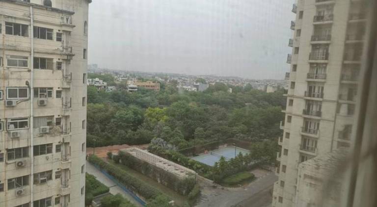 foto31