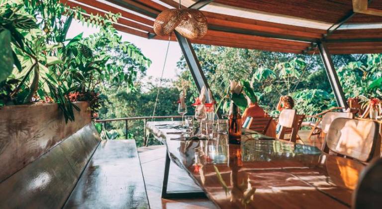 La Loma Jungle Lodge and Chocolate Farm — photo 4