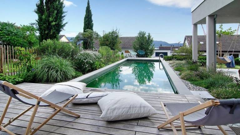 Ferienwohnung Bodman-Ludwigshafen