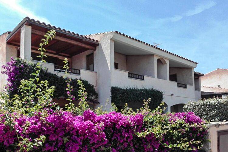 Pleasant holiday apartment with yard | Sea view | Dogs allowed in Arzachena
