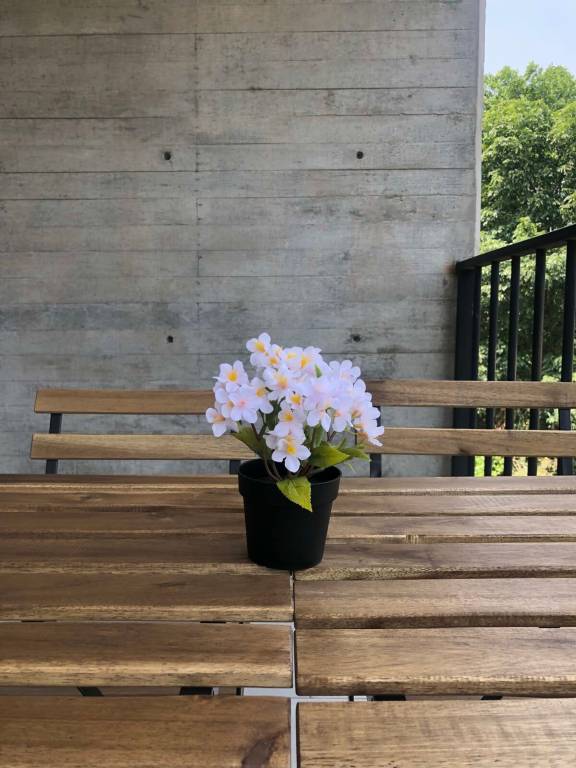 foto23