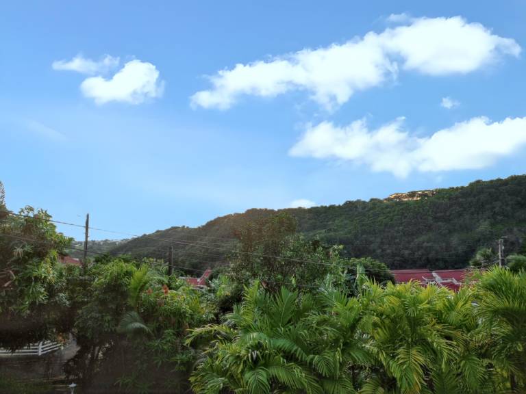 foto11