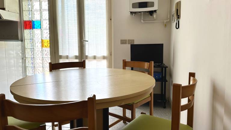 Apartment with garden — photo 5