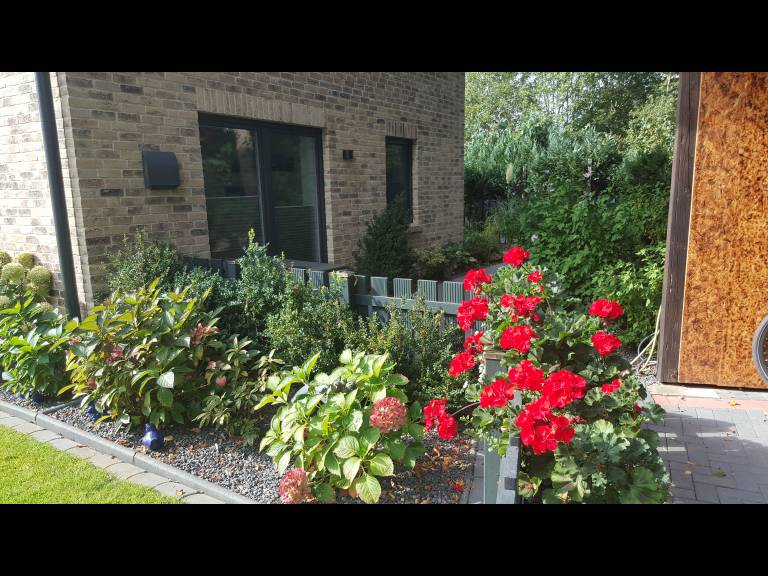 foto15