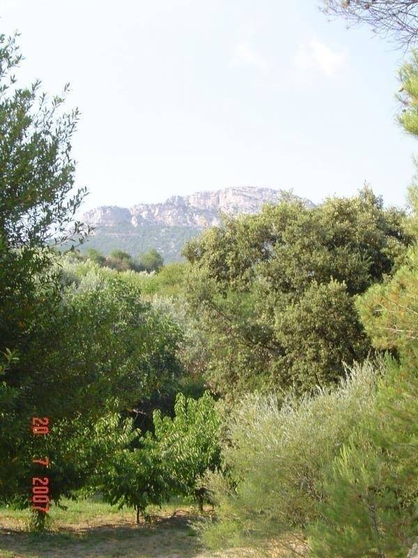 foto32
