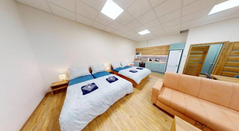 Lovely serviced apartment | Close to Cathedral of St. Peter and Paul | Pets allowed in Brno