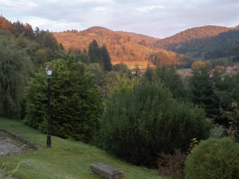 foto15