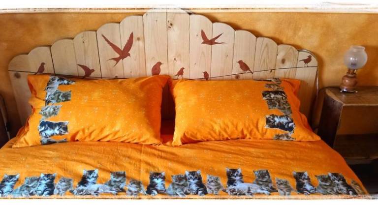 foto36
