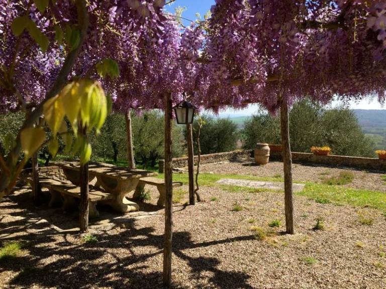 foto45
