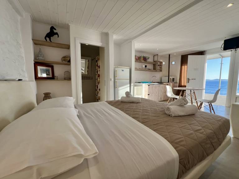 Apartament typu studio Mikonos