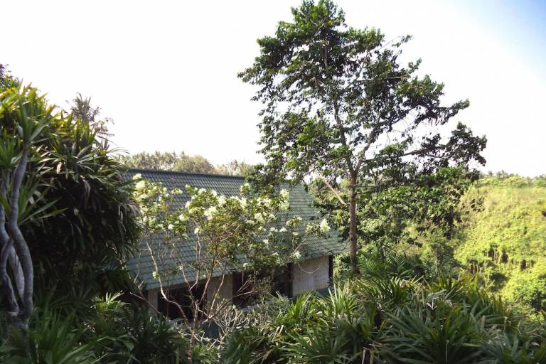 Bed & Breakfast  Ubud