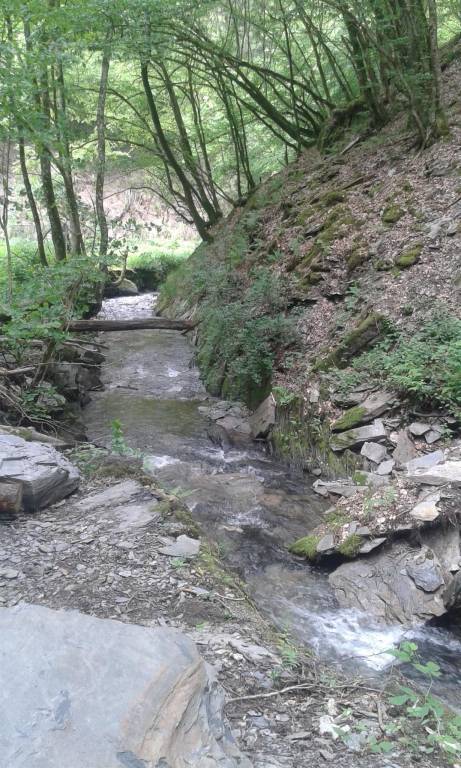 foto14