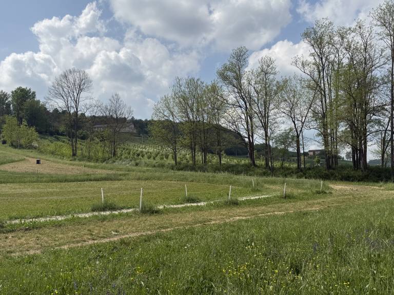 Ferienhaus mit Hund inCastelletto Merli, Piemont Piemont f&uuml;r max. 6 Personen